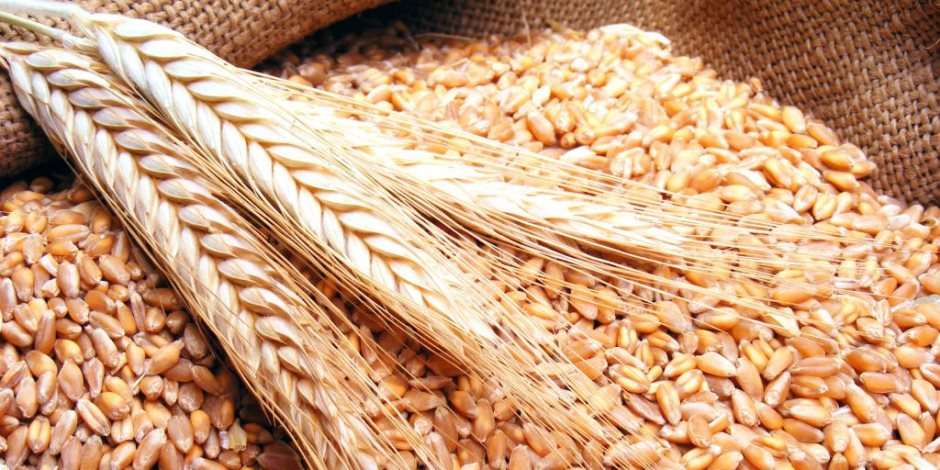 تونس: الزيادة في أسعار الحبوب – تونس – أخبار تونس