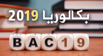 تونس:نشر رموز المعدّل السنوي والسّيرة بالنسبة لتلاميذ الباكالوريا بداية من هذا التاريخ