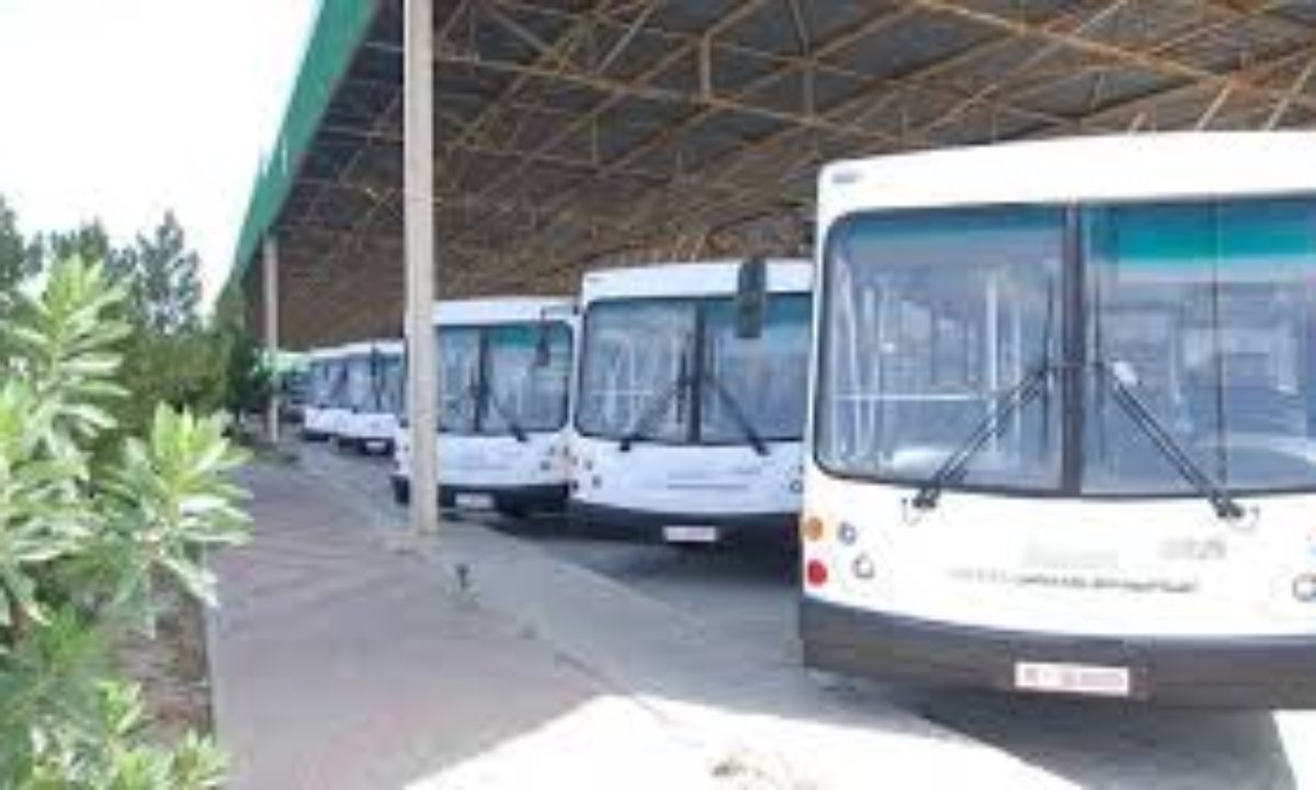 تونس: تخصيص 50 حافلة لنقل التلاميذ في انتظار تدعيم الأسطول في سيدي بوزيد -  تونس - أخبار تونس