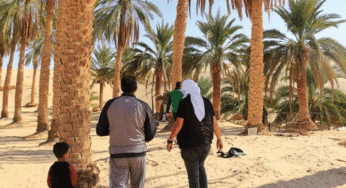 تونس: استعدادات حثيثة لاستقبال الموسم السياحي الصحراوي في قبلي