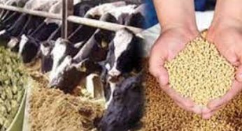 تونس: الإعلان عن التخفيض في أسعار الأعلاف رسميا