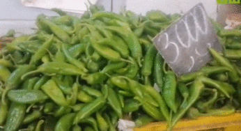 وسط تراجع الأسعار..رصد أسعار الخضر والغلال واللحوم بقفصة  (فيديو)
