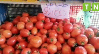 وسط حركة لافتة..رصد أسعار الخضر والغلال واللحوم والأسماك بالقصرين (فيديو)