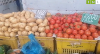 وسط توفر المنتجات..رصد أسعار الخضر والغلال بقفصة (فيديو)