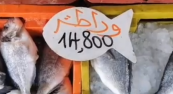 رصد أسعار الخضر والغلال والأسماك واللحوم بالقيروان (فيديو)