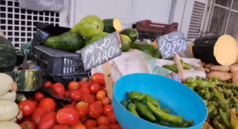 قفصة: رصد أسعار الخضر والغلال (فيديو)