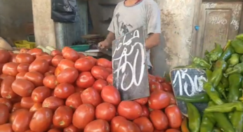 وسط حركية لافتة..رصد أسعار الخضر والغلال واللحوم بسوق باب الجبلي بصفاقس (فيديو)