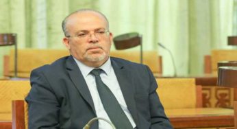 سمير ديلو ينتقد نتائج الاستفتاء: “نجح نجاحا.. ذريعا..!”