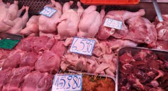 رصد أسعار الخضر والغلال واللحوم والأسماك بالسوق المركزية بالعاصمة (فيديو)