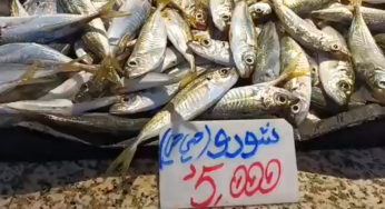 سوسة: أسعار الخضر والغلال واللحوم والأسماك (فيديو+صور)