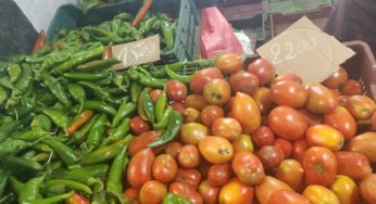 بعد تسعير البطاطا والطماطم والبصل..رصد الأسعار بالسوق البلدي بالقصرين (صور+فيديو)