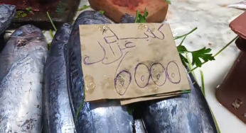 سوسة: رصد الأسعار بسوق العراوة (فيديو+صور)