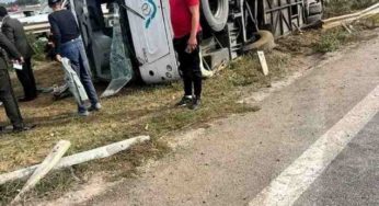 الحمامات: إصابة 23 شخصا من بينهم 16 تلميذا في حادث انقلاب حافلة‎‎