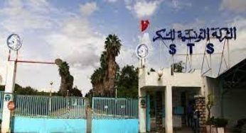 غدا..مصنع السكر بباجة يستأنف نشاطه و8 آلاف طن جاهزة للتوزيع