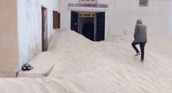 قبلي: الوالي يعاين المنازل المتضرّرة جراء زحف الرّمال ويأذن بإجراءات عاجلة