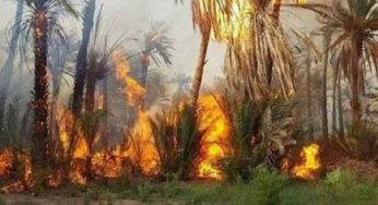 السّيطرة على حريق اندلع بواحة توزر القديمة