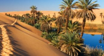 توزر: انطلاق أشغال تهيئة منطقة سقوية في بئر سعيد بحزوة