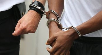 باجة: ضبط 6 أشخاص بحوزتهم مواد مُخدرة بقصد الترويج