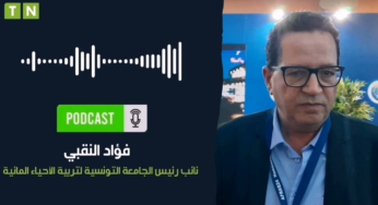تراجع إنتاجية تربية الأسماك من 30 ألف طن سنويا إلى النصف [فيديو]‎