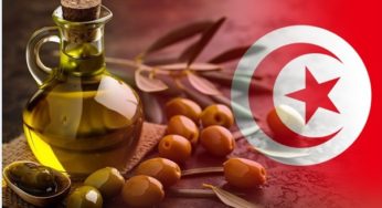 تتويج جديد لزيت الزيتون التونسي البكر الممتاز في مسابقة دولية